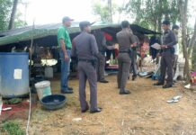 Hat Yai Officials Launch Crackdown On 'Elephant Beggars'