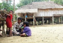 Park Chief Reinstated Despite Links to Case of Missing Karen Activist