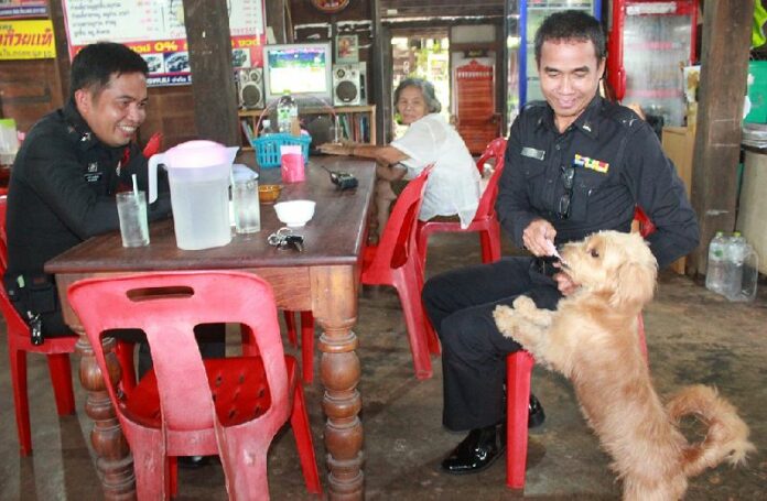 While Kallaya Kaewkwan, 49, cooks meals for customers at Mae Boon restaurant, Barry the dog impresses customers with his ability to dutifully ferry money back and forth between the tables and his owner, 23 Sept 2014.