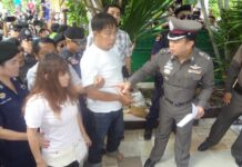 Suspect Confesses to Japanese Murders: Police