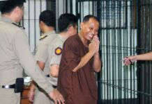 Ex-Pheu Thai MP Confesses to Lese Majeste