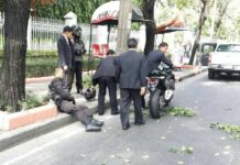 Fallen Tree Narrowly Misses PM Prayuth's Car