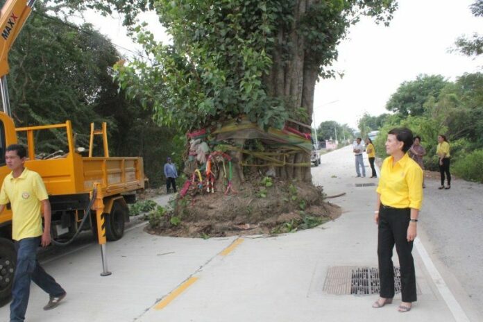 Thamaka district, Kanchanaburi. <br />