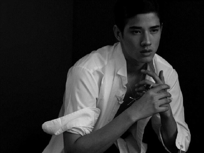 Mario Maurer, 26, will star in six films produced by TAT aimed at drawing Chinese tourists to Thailand.