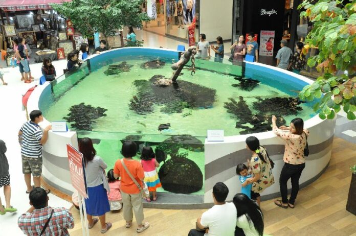 The "aquarium" on the ground floor of Central shopping mall, Ubon Ratchathani province, 25 December 2014