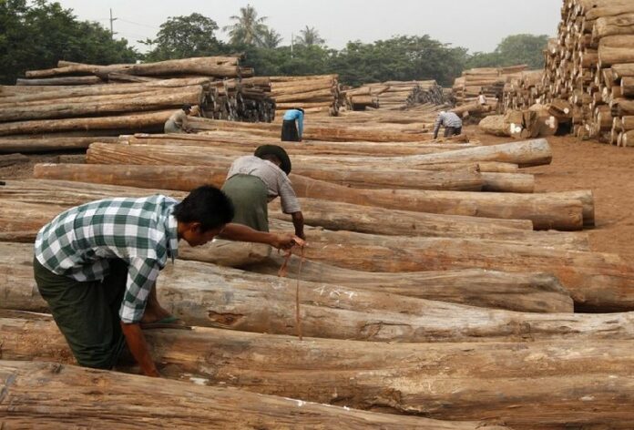 Burmese workers measure and record teak logs in a wood yard in Yangon, Myanmar, 03 April 2012. More than 100 foreigners, most of them Chinese, were arrested in northern Myanmar in a crackdown on illegal logging, reports said Tuesday. EPA/BARBARA WALTON<br />