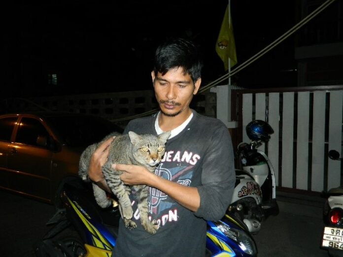 A man and the cat who he has accused a 35-year-old transgender woman of kicking, Pattaya, 13 Jan 2015.