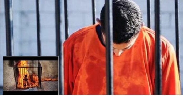 Video showed a captured Jordanian pilot being burned to death.
