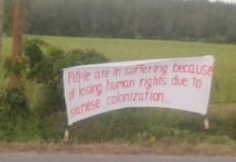 Deep South Banners Decry 'Siamese Colonization'