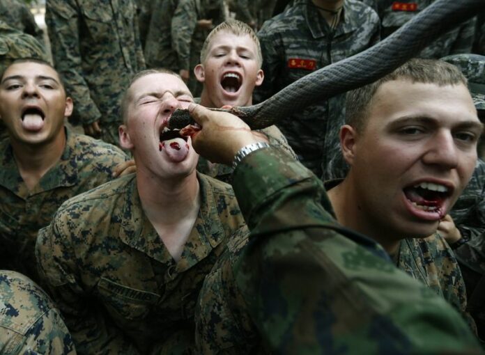 US Marines drink cobra blood during the joint military exercise Cobra Gold 2014 at a military base in Chanthaburi province, Thailand, 15 Febuary 2014. EPA/NARONG SANGNAK<br />