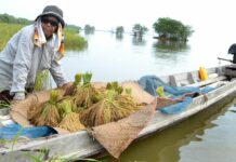 Thai Exports Fall 3.5 Percent in January