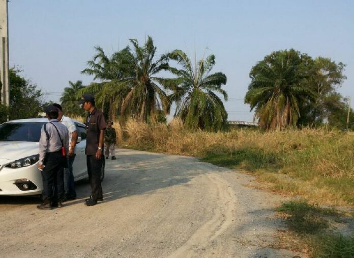 The field where Chanita Ginnit, 38, was found on 6 March 2015.