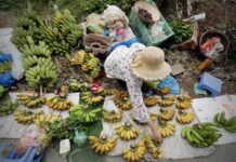 Vietnam Records Fastest First-Quarter Growth in Five Years