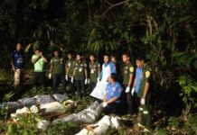 Report on Deadly Deep South Raid Postponed