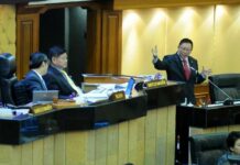 Interim Parliament to Submit Opinions on New Charter