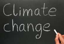 Educating for Sustainable Development