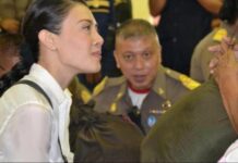 Ex-Princess's Palace Aide Accused of Insulting the Monarchy