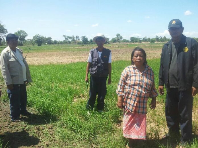 Subin Thiangsan with local Thai officials on her farmland in Sa Kaeo province, 11 June 2015.<br />