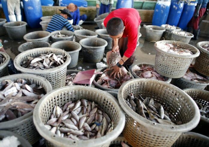 Migrant fishermen from Myanmar unload fish from Thai boats at a port in Samut Sakhon, Thailand, 01 July 2015. EPA/RUNGROJ YONGRIT<br />