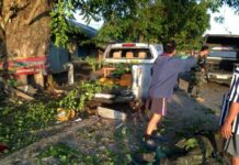 Buddhist Groups Condemn Murder of Monk in Deep South