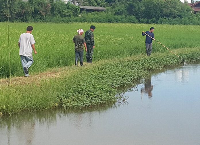 A search team on the lookout for one of six crocodiles still missing from the Thep Nimit farm in Ratchaburi province.<br />
<br />