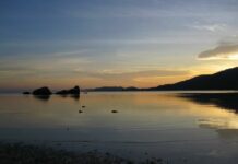 Jellyfish Kill German Tourist on Koh Samui