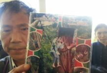No Safety Net for Unregulated Ziplines