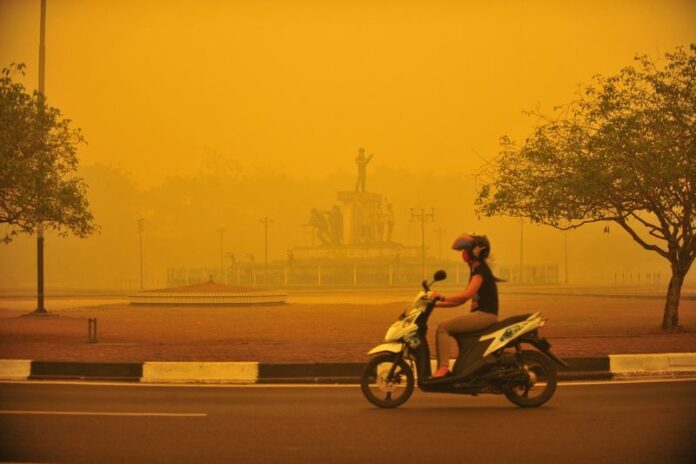 Instead of the customary blue, smog has turned the sky yellow over Kalimantan, Indonesia, in this undated photo. Photo: EPA / Hugo Hudoyoko