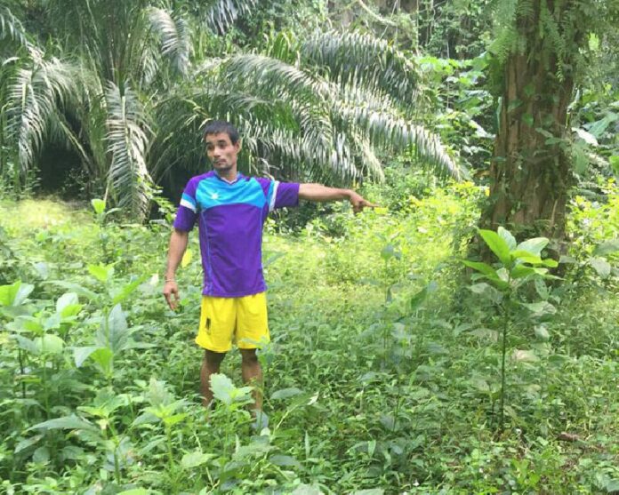Preeda Paklao gestures yesterday toward where he says he mistook a giant, endangered gaur for another animal and shot it to death in Krabi province.