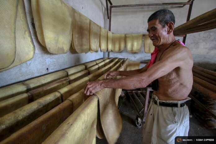 A man works inside a rubber factory today in the Raman district of Yala province. Photo: Reuters / Surapan Boonthanom