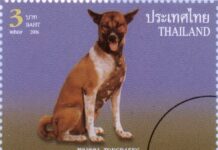 Facebooker Charged For Defaming Royal Dog ‘Tong Daeng’