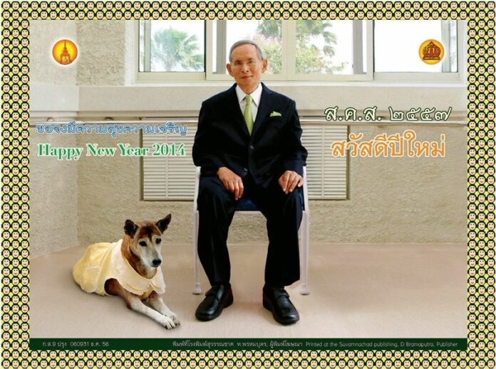 His Majesty the King and Thong Daeng pose together in the 2014 New year greetings card released by the Royal Household Bureau.
