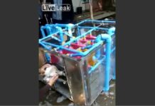 Chiang Mai Inventor’s Ingenuity Goes to the Dogs (VIDEO)