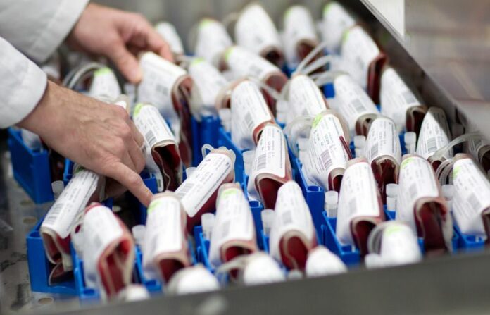 Packets of blood in an undated file picture. Photo: Friso Gentsch / DPA