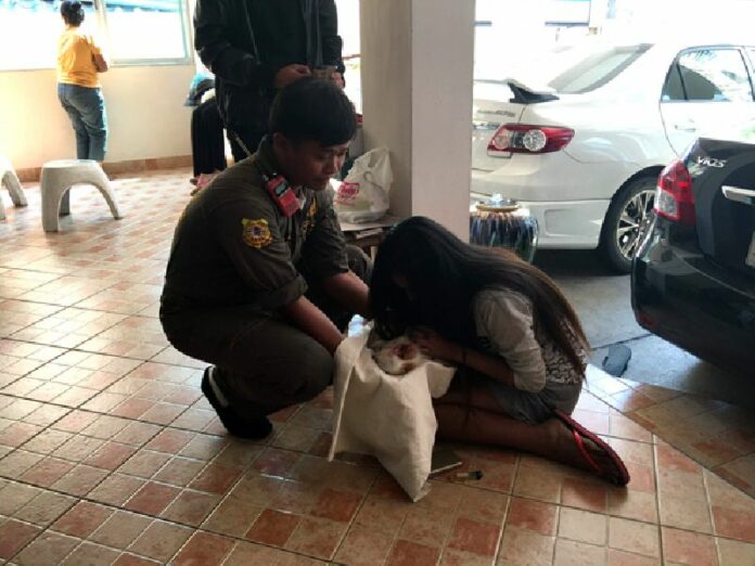 Meyanee Sitthisuk cries over the body of Dehlee, her 4-year-old Chihuahua after she was thrown the roof of a house Wednesday in Soi Lat Phrao 122.