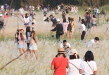 Bangkok Discovers Charming Field in Lat Phrao, Immediately Trashes it