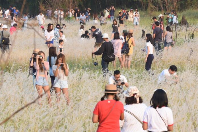 Hundreds of visitors tromped through an empty field in Bangkok’s Lat Phrao during the weekend to take selfies and, it would seem, casually litter.