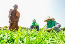Turning Tears into Smiles: How a retailer has helped transform Thailand’s most arid land into a field of hope