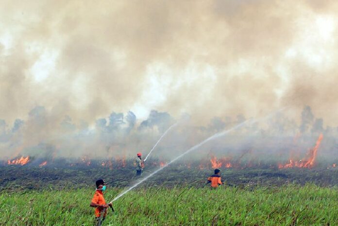 Firemen spray water to contain burning wildfire Sept. 5 in South Sumatra, Indonesia. Photo: Associated Press<br />