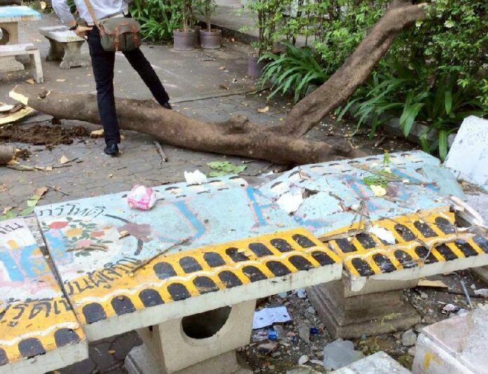 A falling tree struck benches and injured seven students at Chulalongkorn University on Wednesday afternoon in Bangkok.