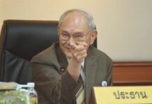 Charter Draft First Look: When Will the Junta be Really Gone? (Analysis)