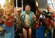 Tourists’ Big Catch Gets Yacht Banned from Similans