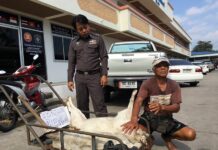 Man Seeks Karmic Justice for Dead Dogs