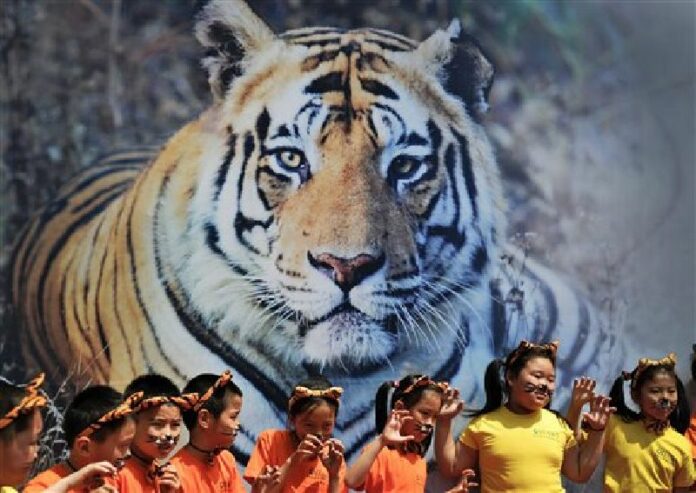 In this May 29, 2010, file photo, school children with tiger's ears headband gesture in front of a tiger poster during an event to encourage people to protect the endangered wild tiger species around Asia countries held at the National Animal Museum in Beijing, China. Photo: Andy Wong / Associated Press