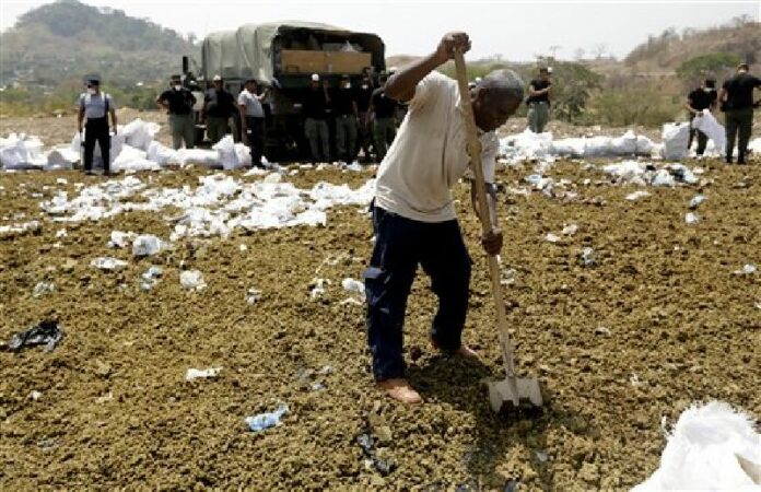 <br />A narcotics agent shovels marijuana, as part of an operation to destroy seized drugs, on the outskirts of Panama City, Friday, April 1, 2016. Photo: Arnulfo Franco / Associated Press