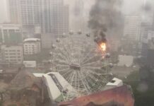 Fire Engulfs 'Dinosaur Planet' Ferris Wheel Cabin