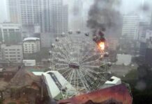 Dinosaur Planet Ferris Wheel Closed for 15 Days