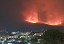Huge Forest Fire in Chiang Mai
